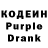 Codein Purple Drank Araika Adilova